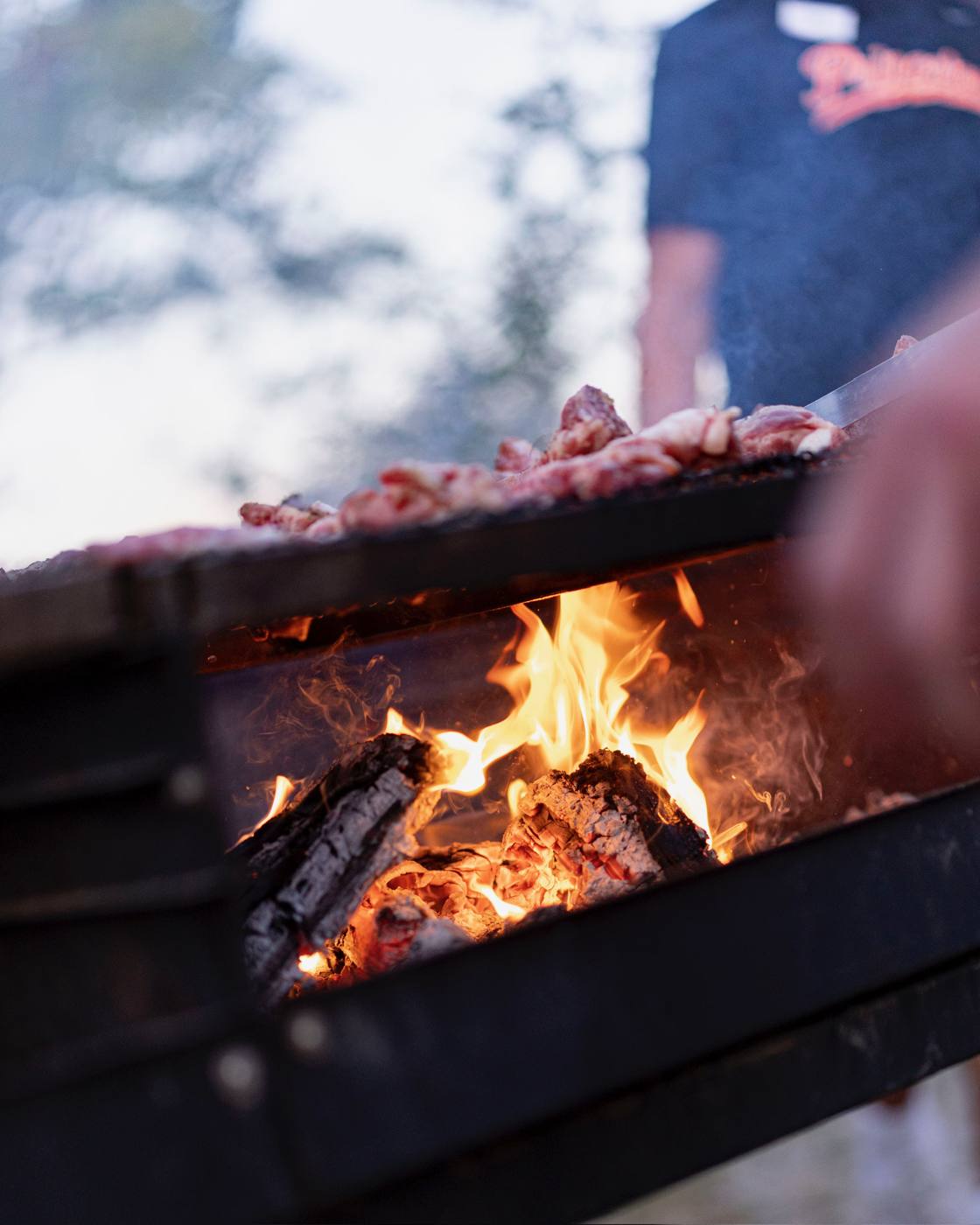 Flames and burning logs beneath a grill